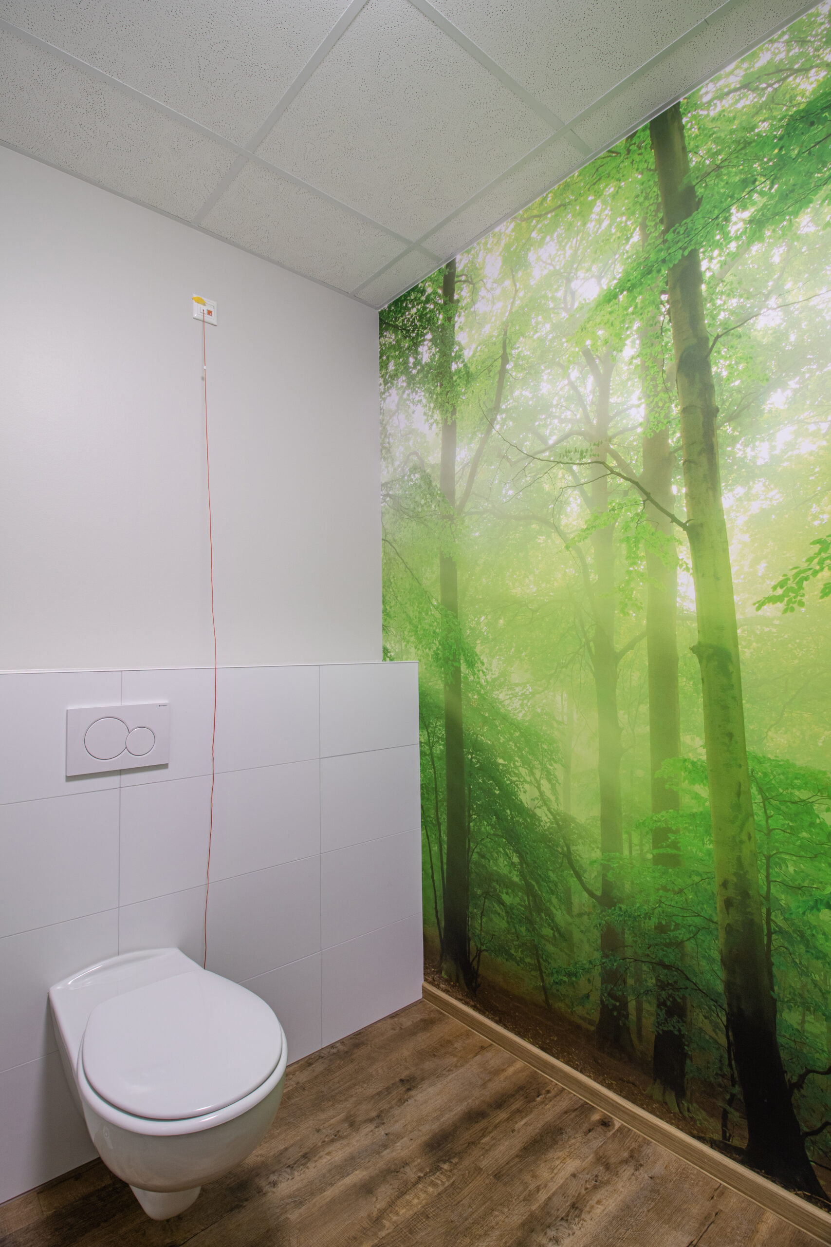 Das barrierefreie Patienten-WC mit einer Bildtapete mit einem Waldmotiv und Vinylboden in Holzoptik.
